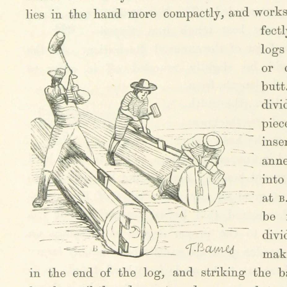 An illustration from Shifts and Expedients of Camp Life, Travels, etc, 1871, leaf 298