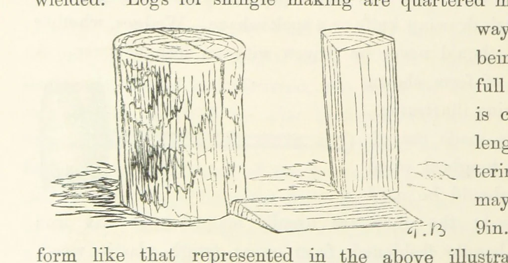 An illustration from Shifts and Expedients of Camp Life, Travels, etc, 1871, leaf 298