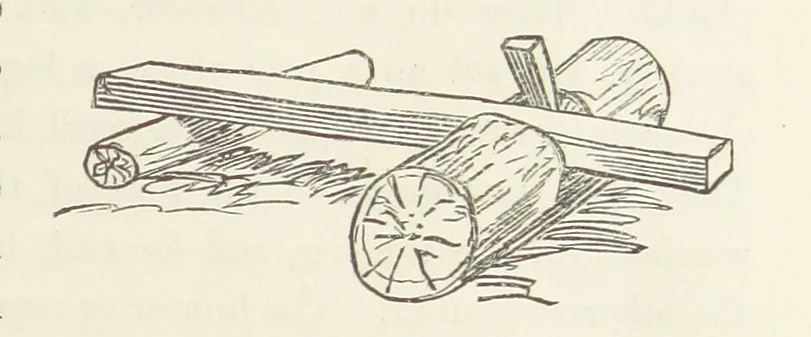 An illustration from Shifts and Expedients of Camp Life, Travels, etc, 1871, leaf 299