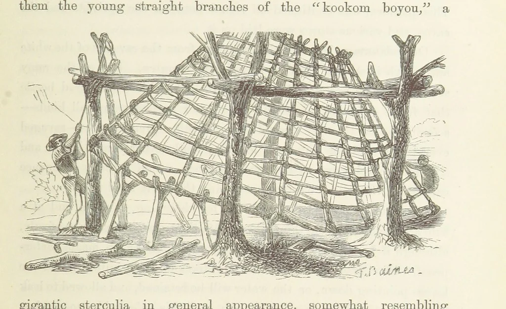 An illustration from Shifts and Expedients of Camp Life, Travels, etc, 1871, leaf 313