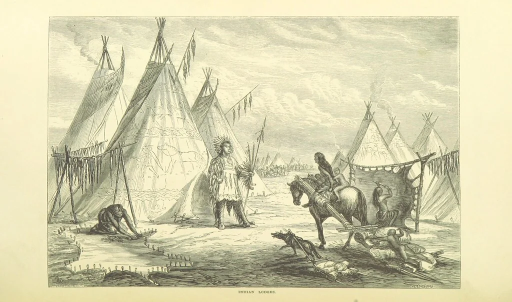 An illustration from Shifts and Expedients of Camp Life, Travels, etc, 1871, leaf 336