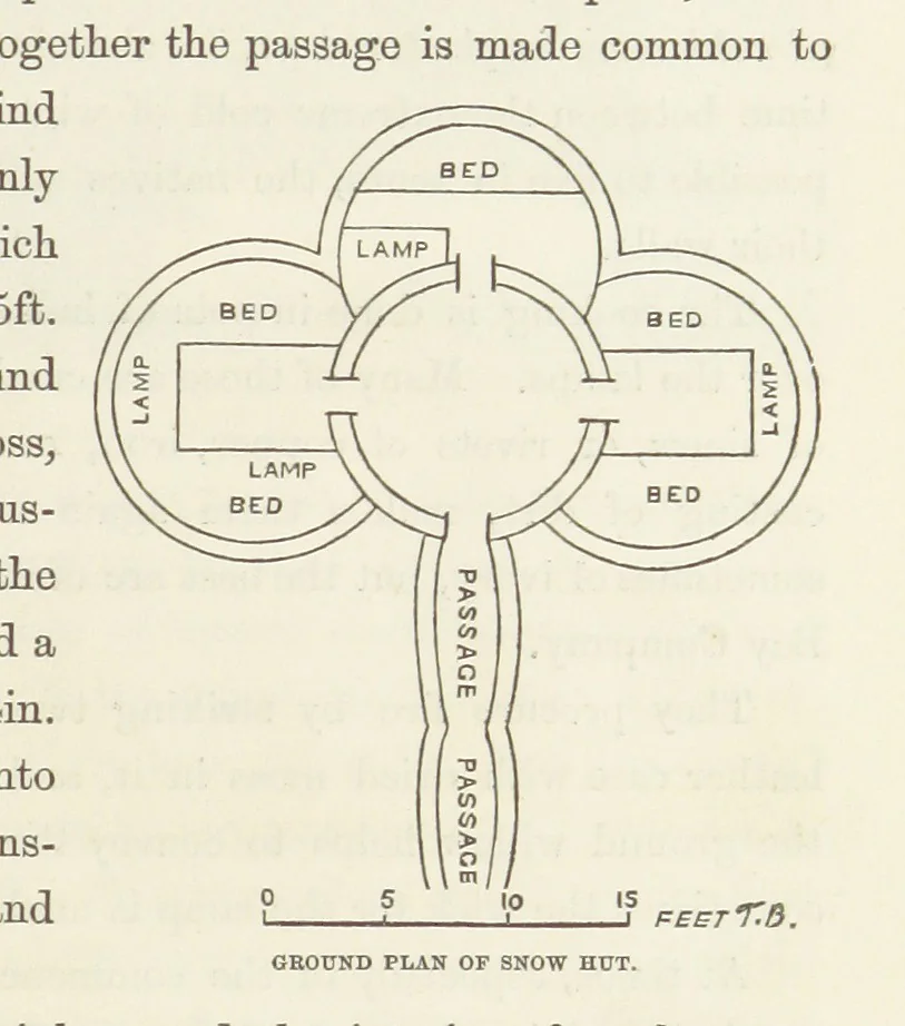 An illustration from Shifts and Expedients of Camp Life, Travels, etc, 1871, leaf 341