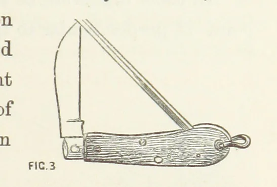 An illustration from Shifts and Expedients of Camp Life, Travels, etc, 1871, leaf 351