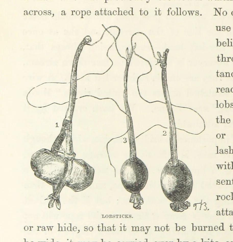 An illustration from Shifts and Expedients of Camp Life, Travels, etc, 1871, leaf 362