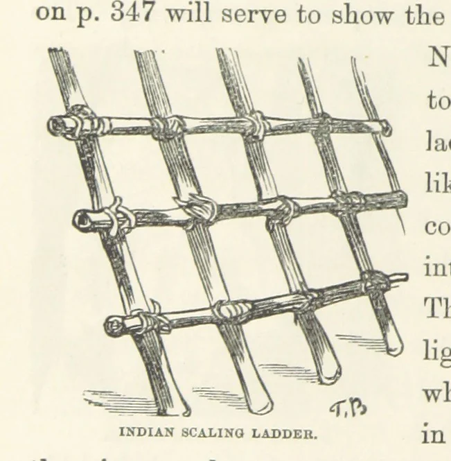 An illustration from Shifts and Expedients of Camp Life, Travels, etc, 1871, leaf 376
