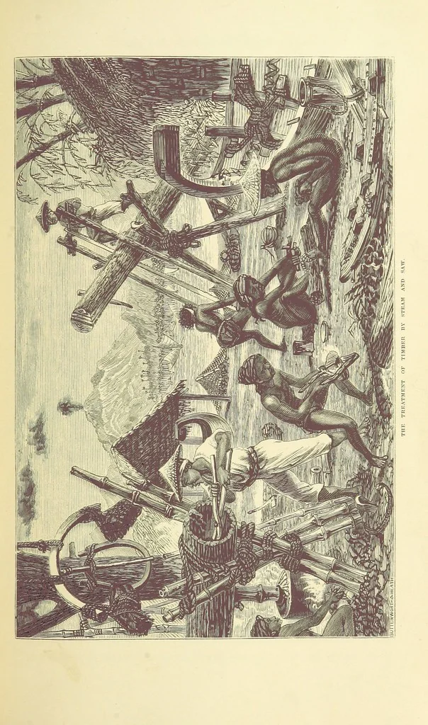 An illustration from Shifts and Expedients of Camp Life, Travels, etc, 1871, leaf 405