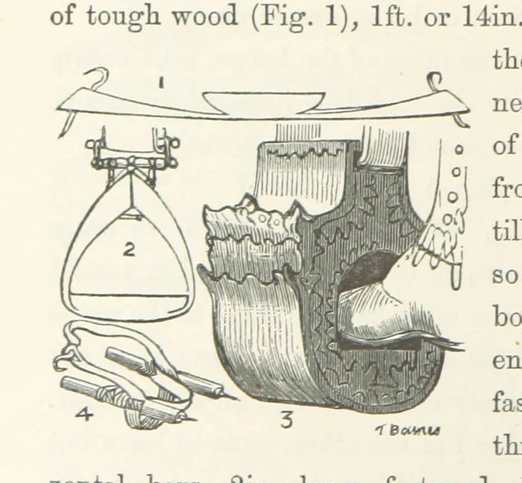 An illustration from Shifts and Expedients of Camp Life, Travels, etc, 1871, leaf 410