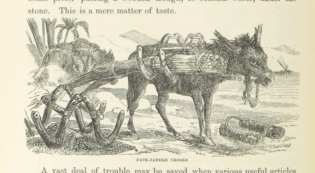 An illustration from Shifts and Expedients of Camp Life, Travels, etc, 1871, leaf 418