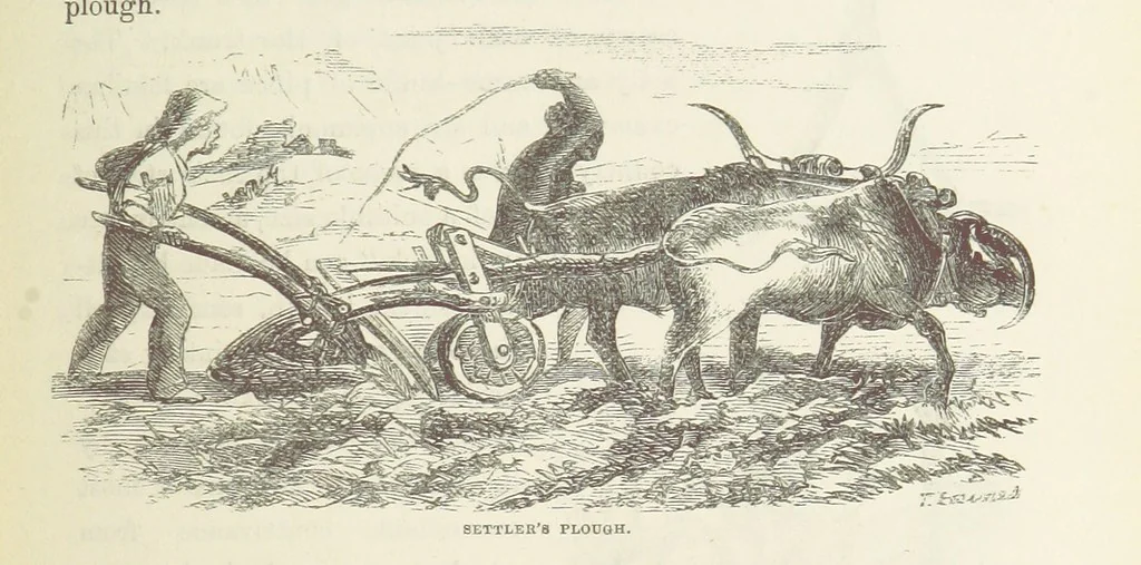 An illustration from Shifts and Expedients of Camp Life, Travels, etc, 1871, leaf 421