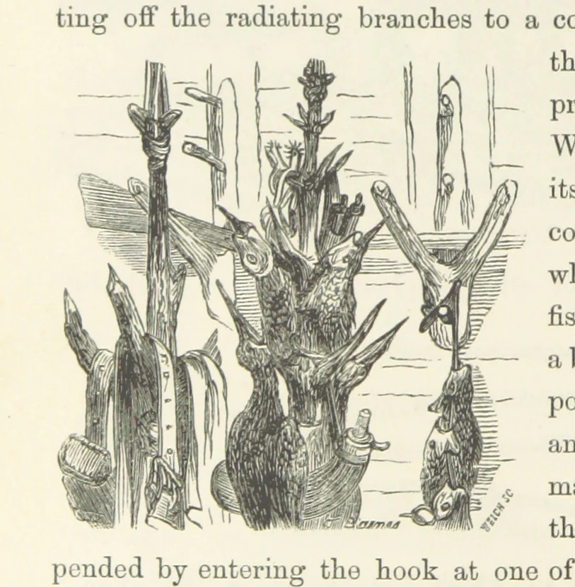 An illustration from Shifts and Expedients of Camp Life, Travels, etc, 1871, leaf 422