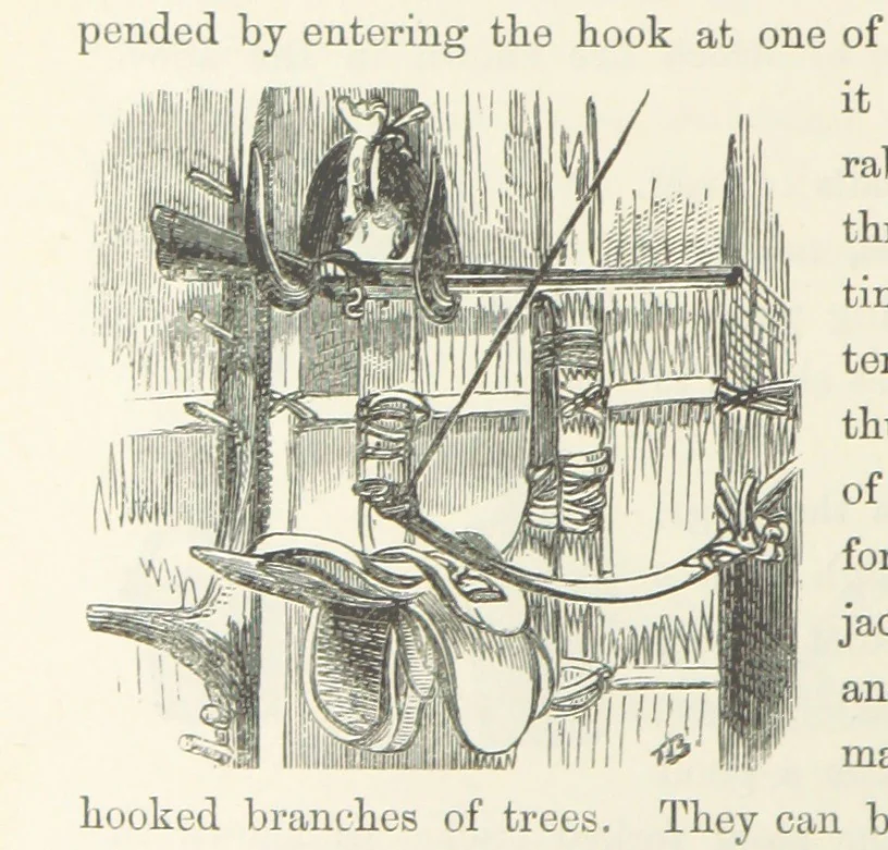 An illustration from Shifts and Expedients of Camp Life, Travels, etc, 1871, leaf 422