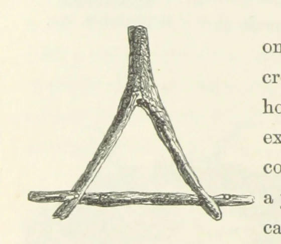 An illustration from Shifts and Expedients of Camp Life, Travels, etc, 1871, leaf 422