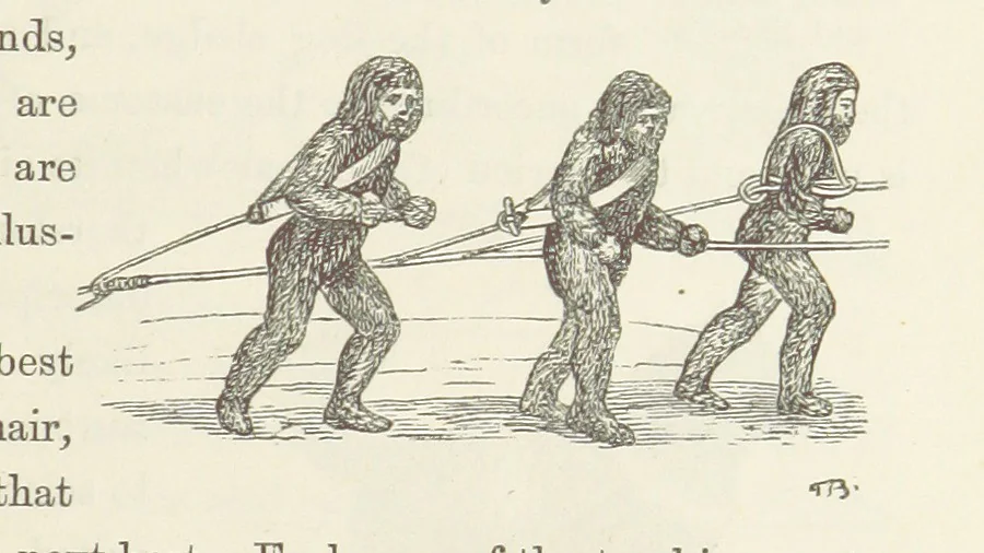 An illustration from Shifts and Expedients of Camp Life, Travels, etc, 1871, leaf 425