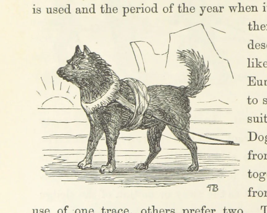 An illustration from Shifts and Expedients of Camp Life, Travels, etc, 1871, leaf 426