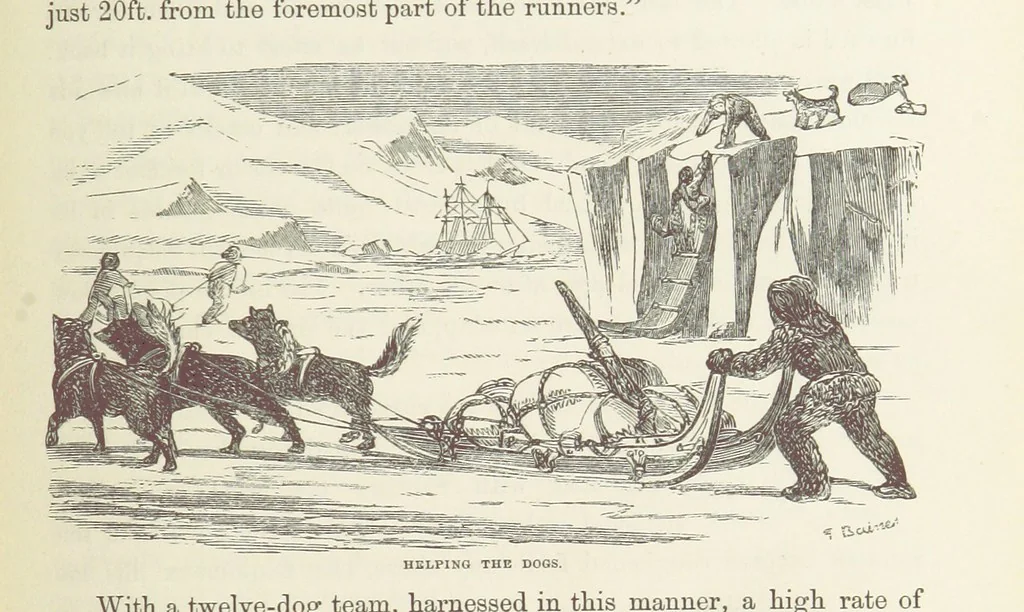 An illustration from Shifts and Expedients of Camp Life, Travels, etc, 1871, leaf 427