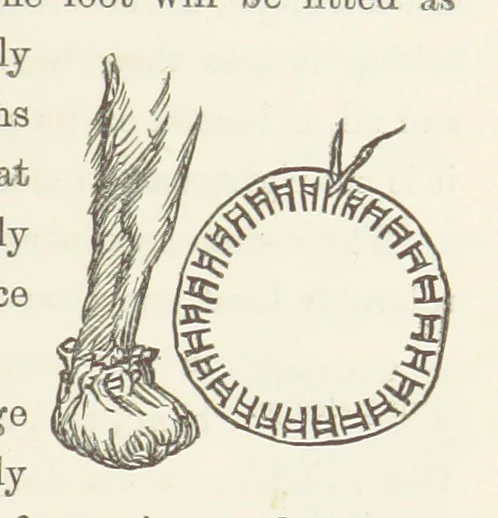 An illustration from Shifts and Expedients of Camp Life, Travels, etc, 1871, leaf 435