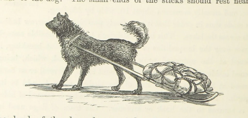 An illustration from Shifts and Expedients of Camp Life, Travels, etc, 1871, leaf 436