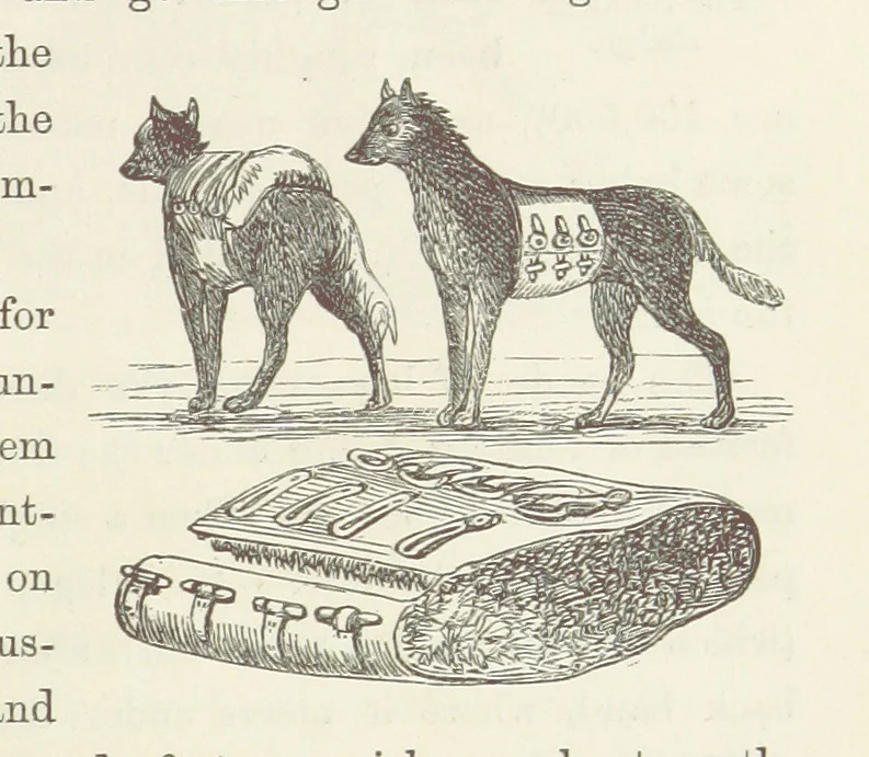 An illustration from Shifts and Expedients of Camp Life, Travels, etc, 1871, leaf 437