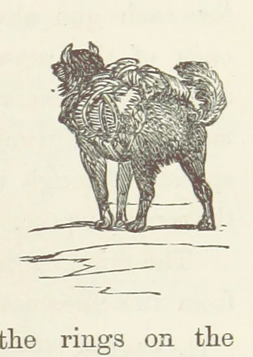 An illustration from Shifts and Expedients of Camp Life, Travels, etc, 1871, leaf 437