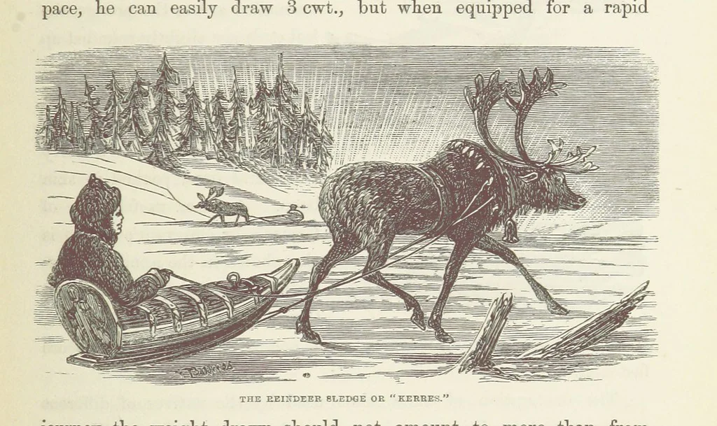 An illustration from Shifts and Expedients of Camp Life, Travels, etc, 1871, leaf 439