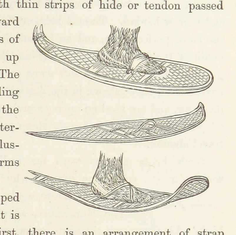 An illustration from Shifts and Expedients of Camp Life, Travels, etc, 1871, leaf 441