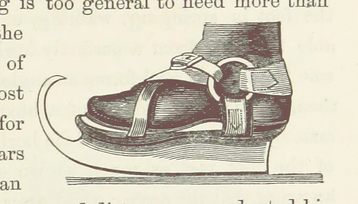 An illustration from Shifts and Expedients of Camp Life, Travels, etc, 1871, leaf 443