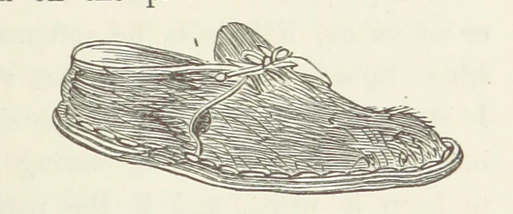 An illustration from Shifts and Expedients of Camp Life, Travels, etc, 1871, leaf 445