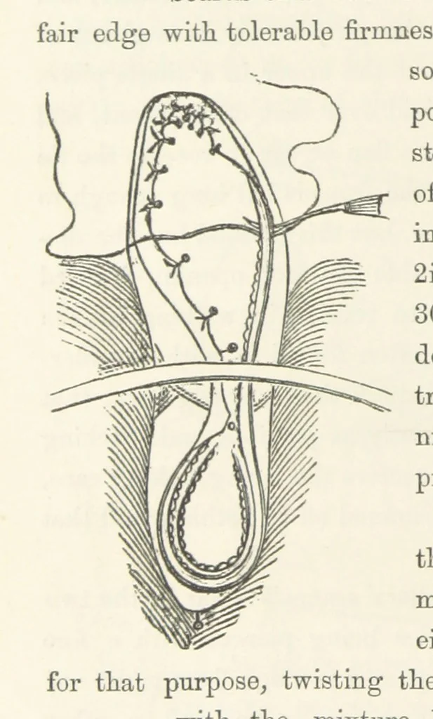 An illustration from Shifts and Expedients of Camp Life, Travels, etc, 1871, leaf 452