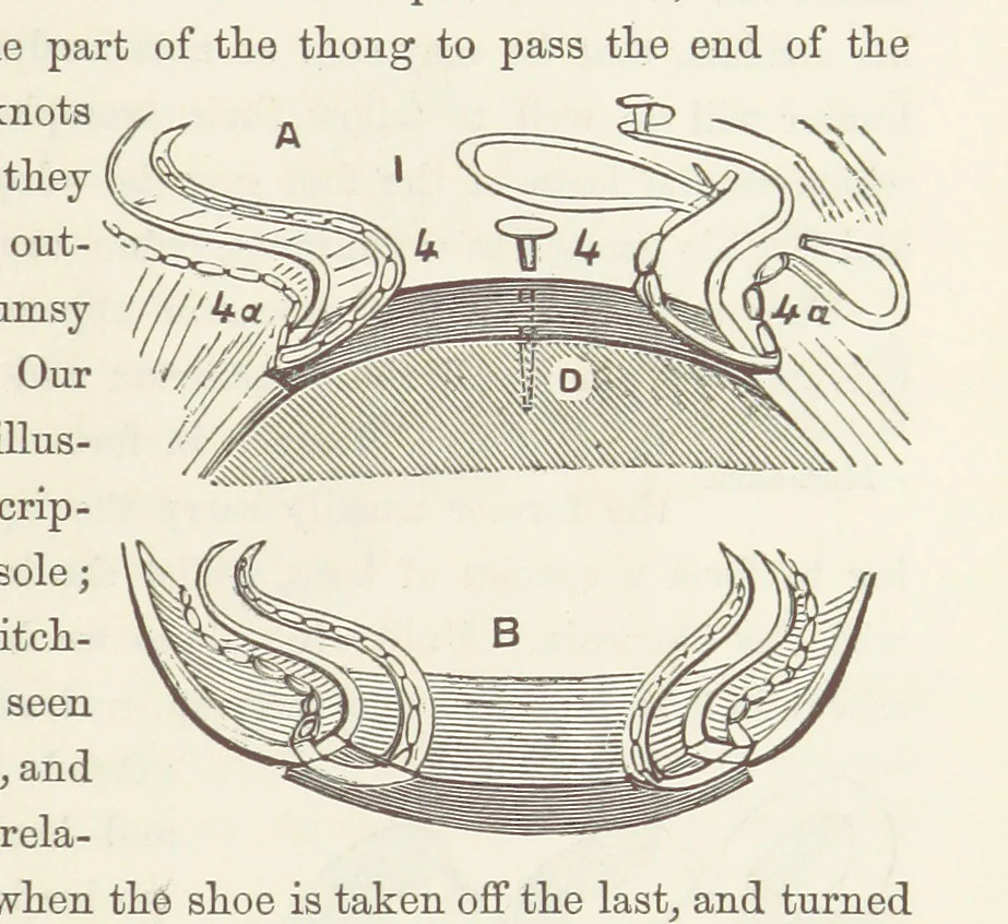 An illustration from Shifts and Expedients of Camp Life, Travels, etc, 1871, leaf 455