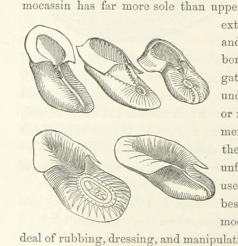An illustration from Shifts and Expedients of Camp Life, Travels, etc, 1871, leaf 456