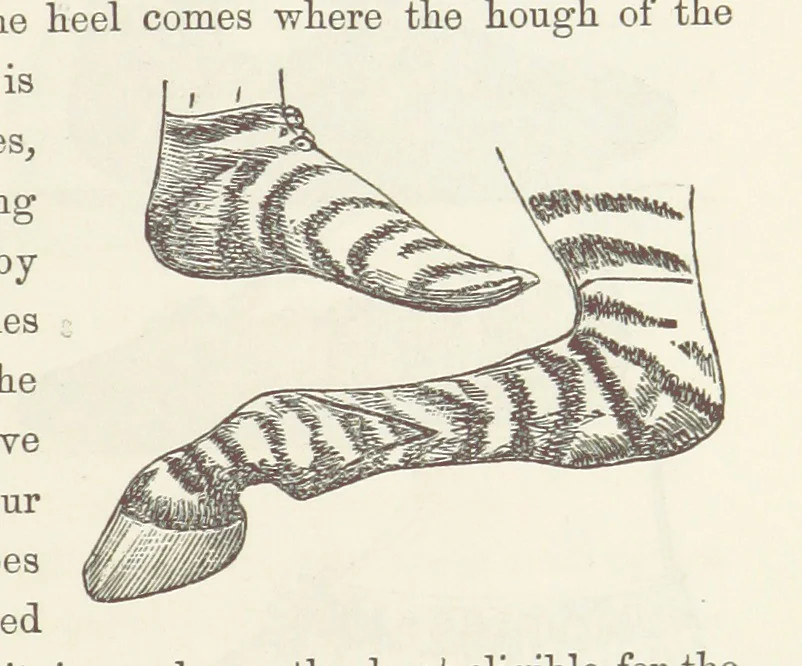 An illustration from Shifts and Expedients of Camp Life, Travels, etc, 1871, leaf 457