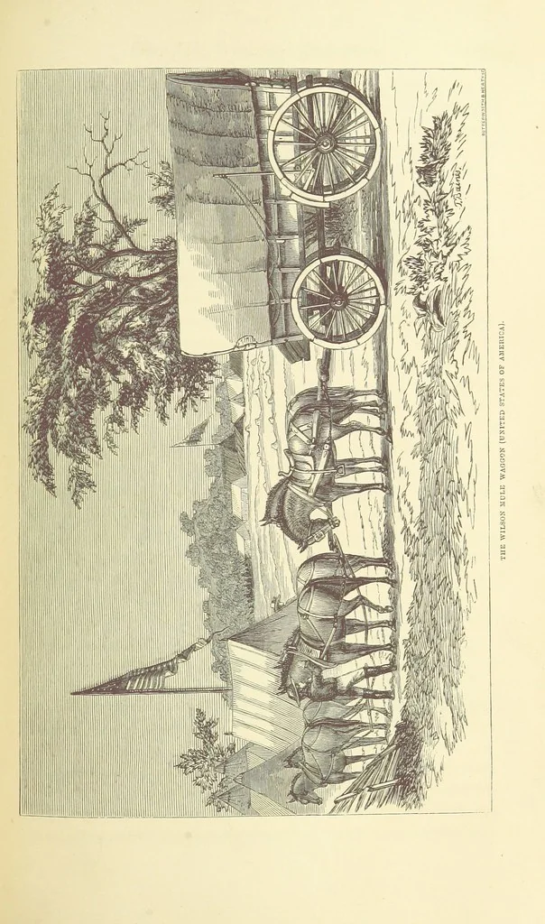 An illustration from Shifts and Expedients of Camp Life, Travels, etc, 1871, leaf 477