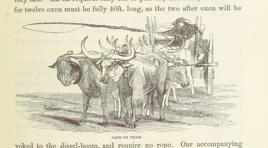 An illustration from Shifts and Expedients of Camp Life, Travels, etc, 1871, leaf 487