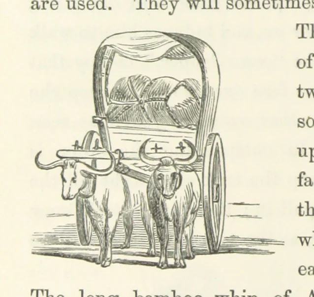 An illustration from Shifts and Expedients of Camp Life, Travels, etc, 1871, leaf 488
