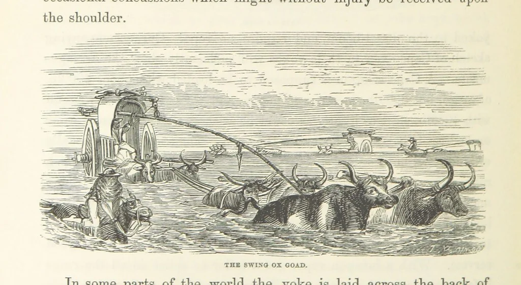 An illustration from Shifts and Expedients of Camp Life, Travels, etc, 1871, leaf 488