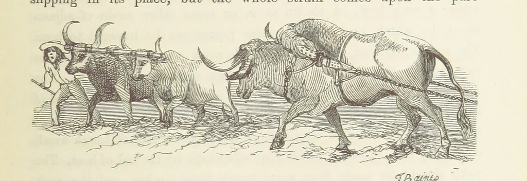 An illustration from Shifts and Expedients of Camp Life, Travels, etc, 1871, leaf 489