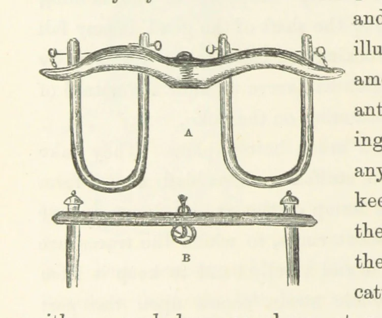 An illustration from Shifts and Expedients of Camp Life, Travels, etc, 1871, leaf 490