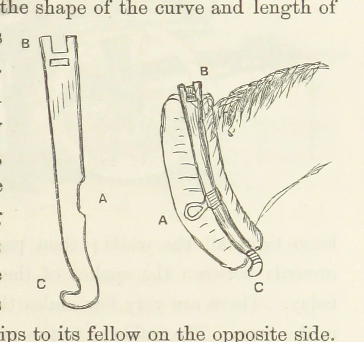 An illustration from Shifts and Expedients of Camp Life, Travels, etc, 1871, leaf 493