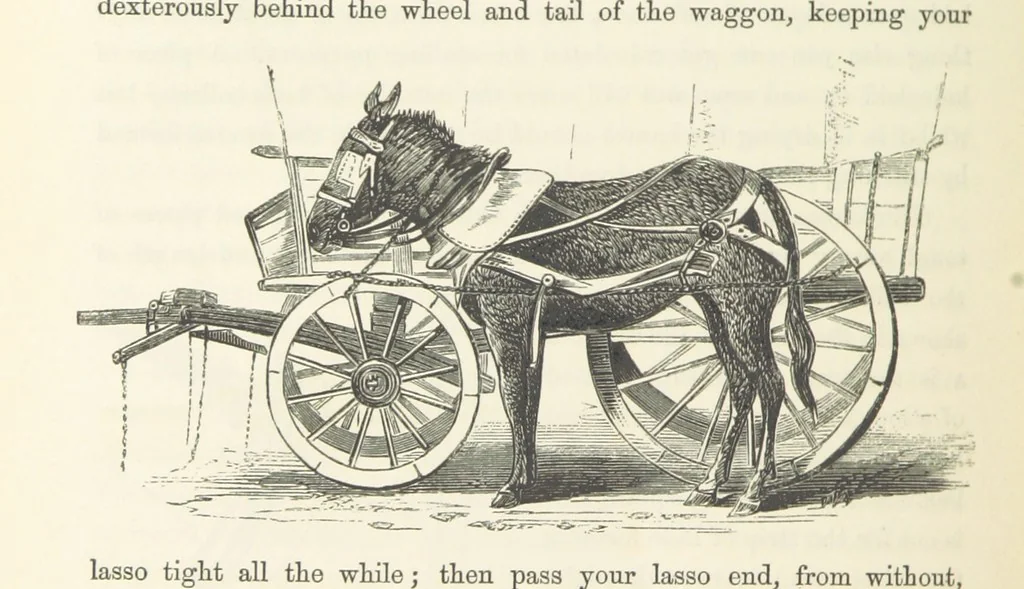 An illustration from Shifts and Expedients of Camp Life, Travels, etc, 1871, leaf 494