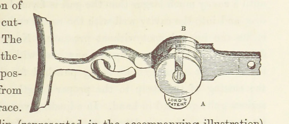 An illustration from Shifts and Expedients of Camp Life, Travels, etc, 1871, leaf 495