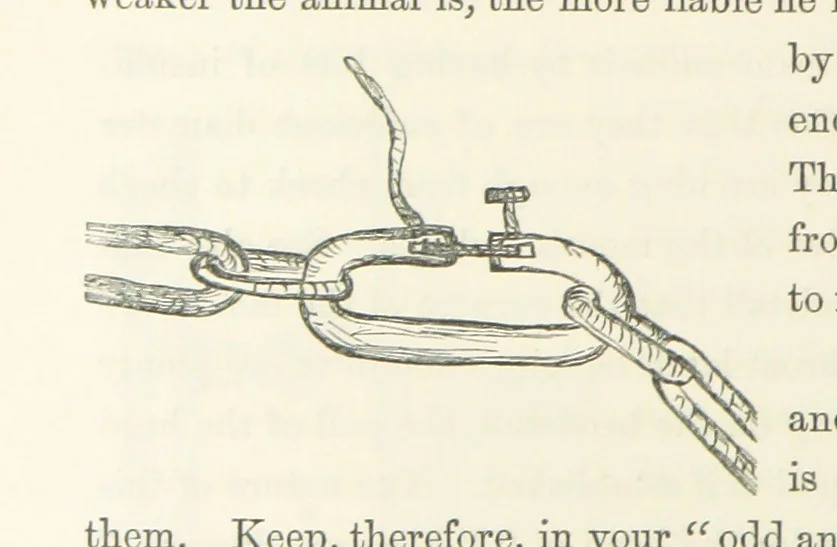An illustration from Shifts and Expedients of Camp Life, Travels, etc, 1871, leaf 496