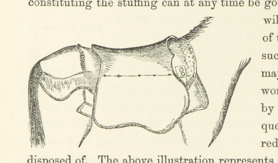 An illustration from Shifts and Expedients of Camp Life, Travels, etc, 1871, leaf 498