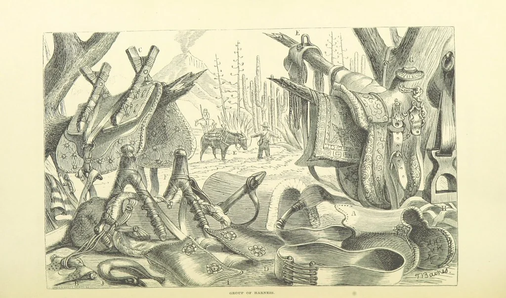 An illustration from Shifts and Expedients of Camp Life, Travels, etc, 1871, leaf 500