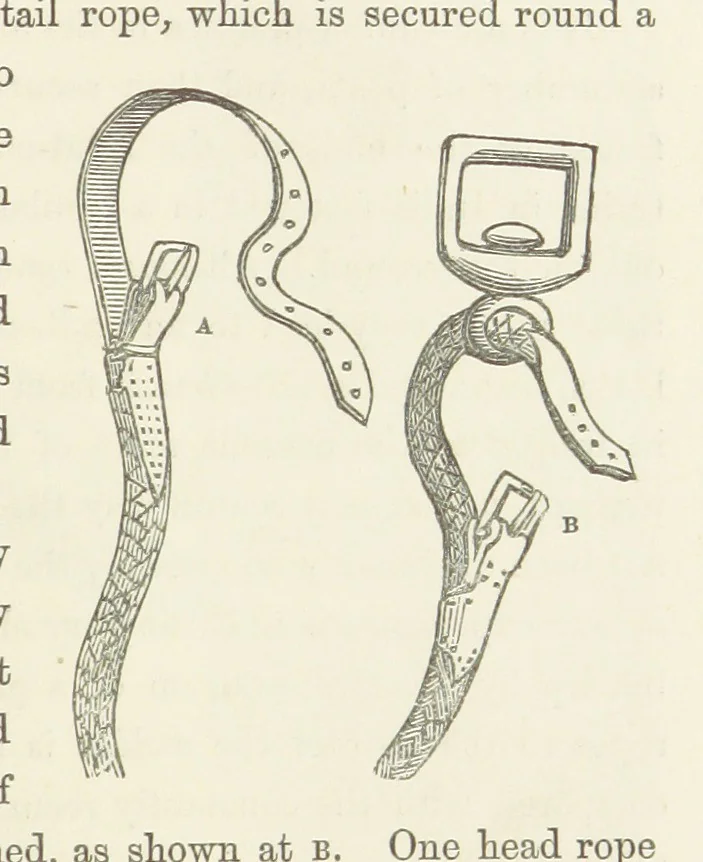 An illustration from Shifts and Expedients of Camp Life, Travels, etc, 1871, leaf 505