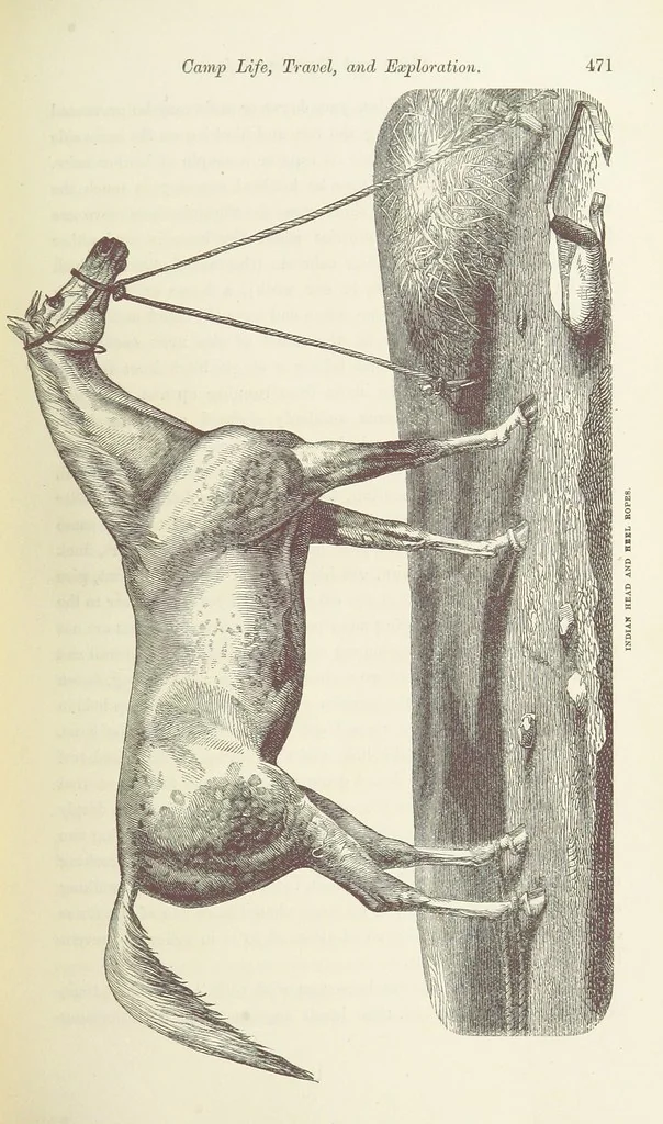 An illustration from Shifts and Expedients of Camp Life, Travels, etc, 1871, leaf 507