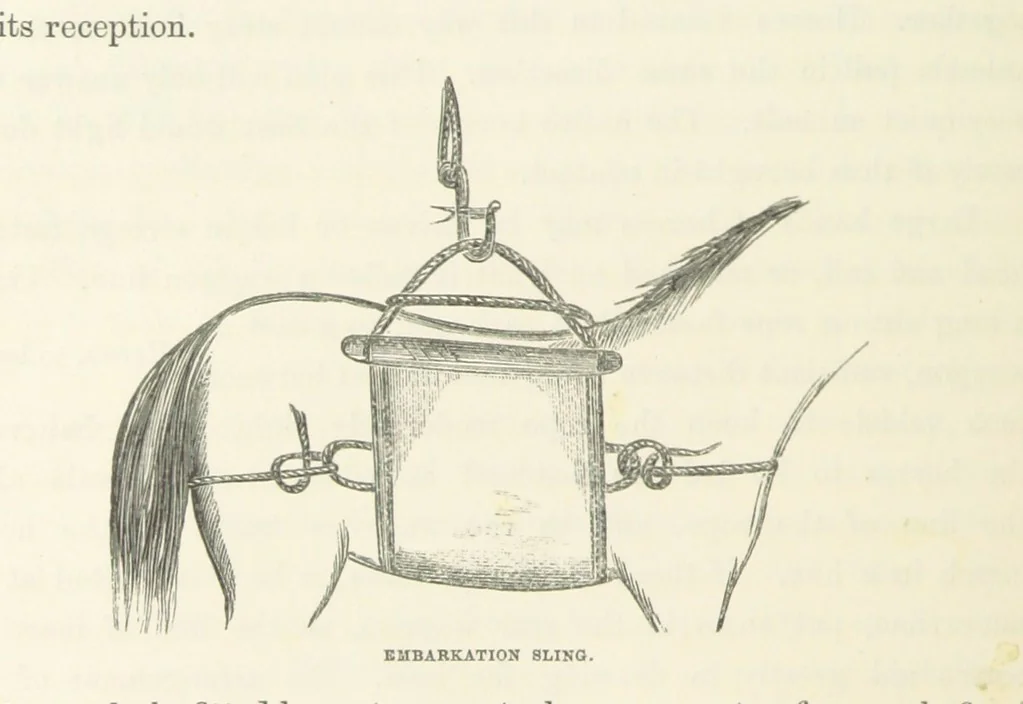 An illustration from Shifts and Expedients of Camp Life, Travels, etc, 1871, leaf 510