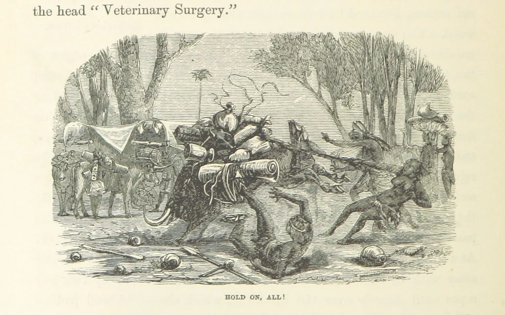 An illustration from Shifts and Expedients of Camp Life, Travels, etc, 1871, leaf 510