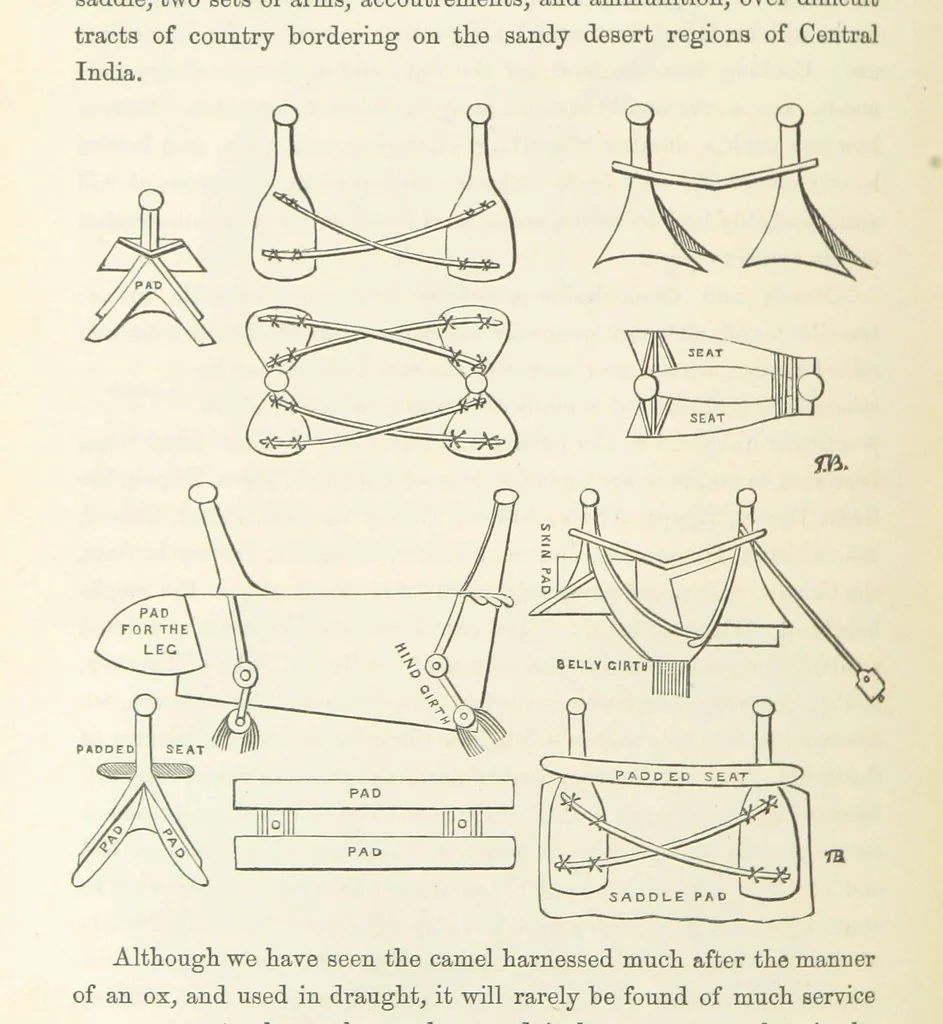 An illustration from Shifts and Expedients of Camp Life, Travels, etc, 1871, leaf 512