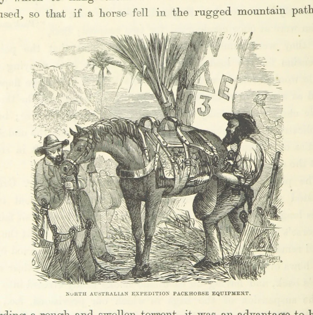 An illustration from Shifts and Expedients of Camp Life, Travels, etc, 1871, leaf 52