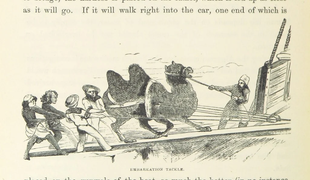 An illustration from Shifts and Expedients of Camp Life, Travels, etc, 1871, leaf 524